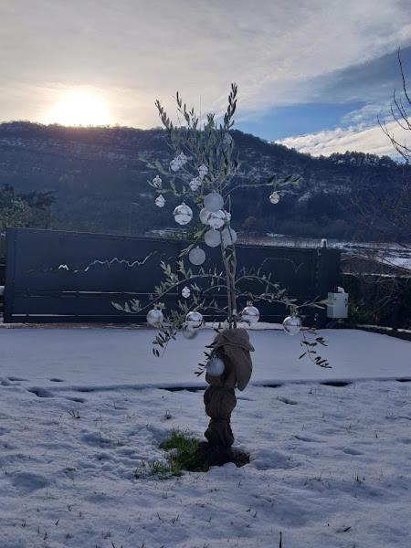 Appartamento La finestra sul Brenta Lasino Esterno foto